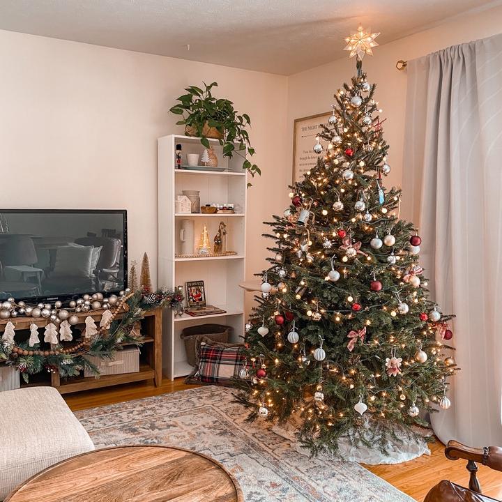 Christmas Tree Removal Service In Burien