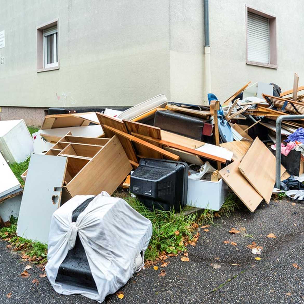 Dumpster Rentals Service In Burien