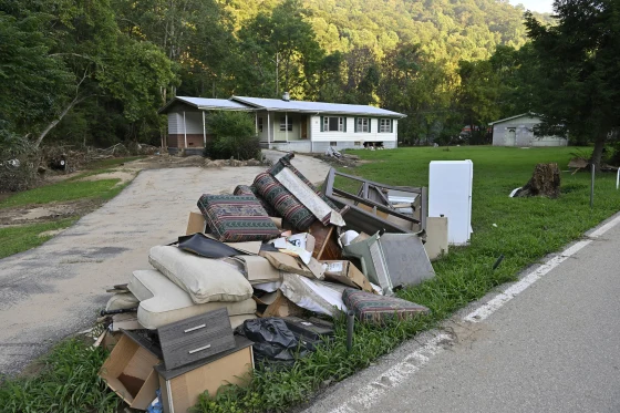 Property Cleanup for Property Management Service In Burien