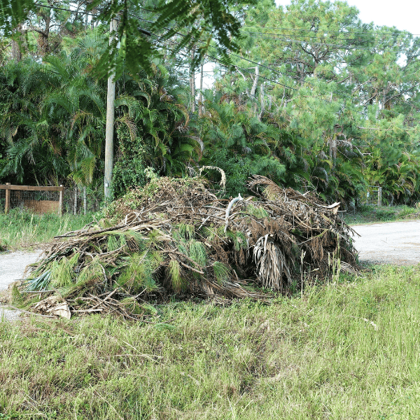 Yard Waste Pickup and Disposal Service In Burien